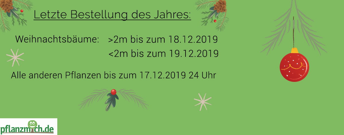 letzte Bestellung vor dem Neuen Jahr