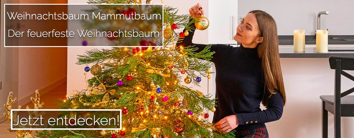 Mammutbaum Weihnachtsbaum