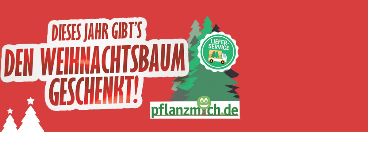 gratis weihnachtsbaum tree4free