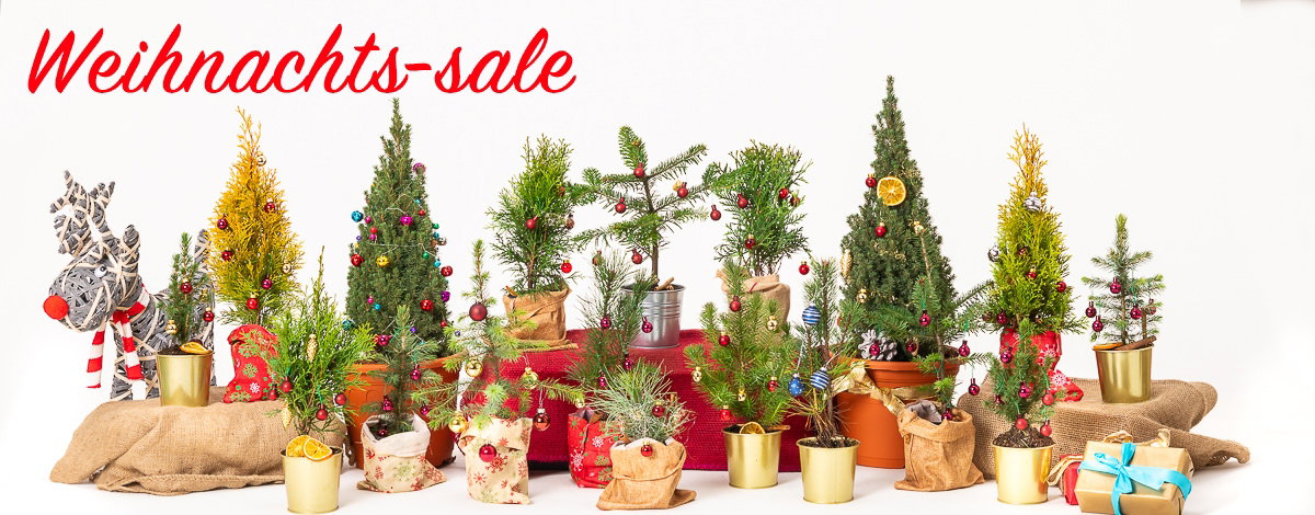 weihnachtssale