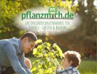 pflanzanleitung