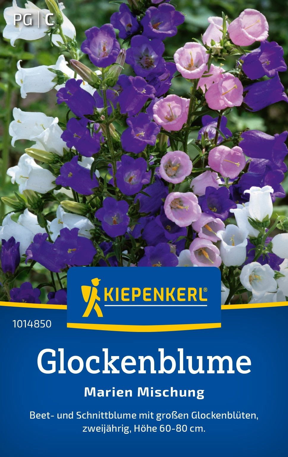 Blumenkasten XXL - optimal fr transportable Hecken gnstig kaufen