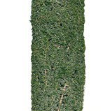 curry leaves plant in germany Buy Fresh Curry Leaves 30g Online in Germany – Desigros main image 0