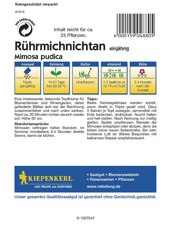 R hrmichnichtan Kiepenkerl Mimosa Pudica G nstig Kaufen r-hrmichnichtan-kiepenkerl-mimosa-pudica-g-nstig-kaufen