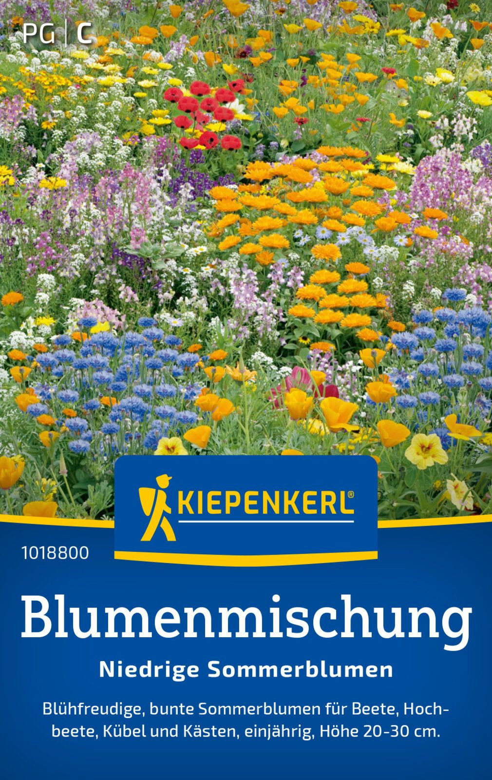 mooswand künstlich Mooswand selber machen