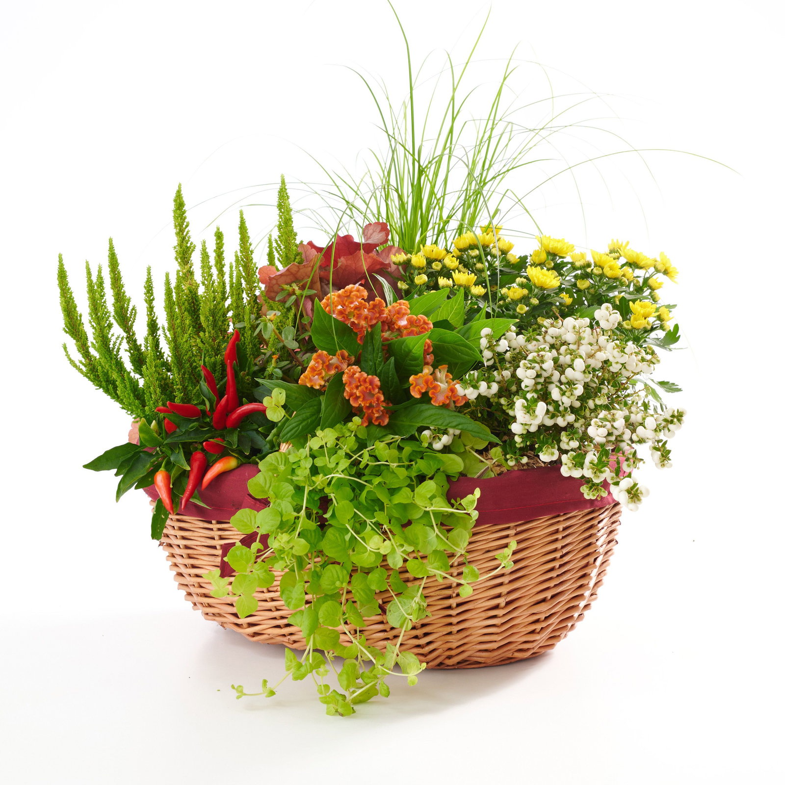 outdoor grow ohne dünger 420Flow Grow Erde Lightmix – Cannabis Grow-Erde für Indoor & Outdoor main image 0