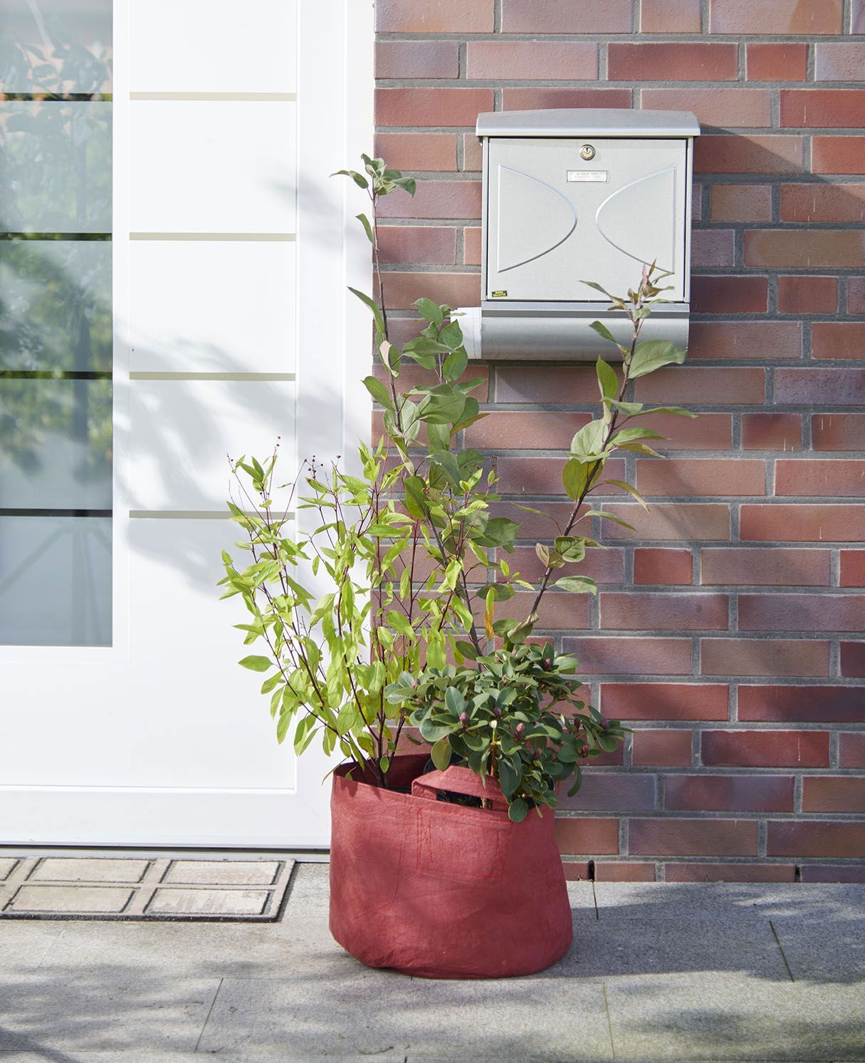 Bienentasche Herbst Tasche mit bienenfreundlichen Gehölzen günstig kaufen