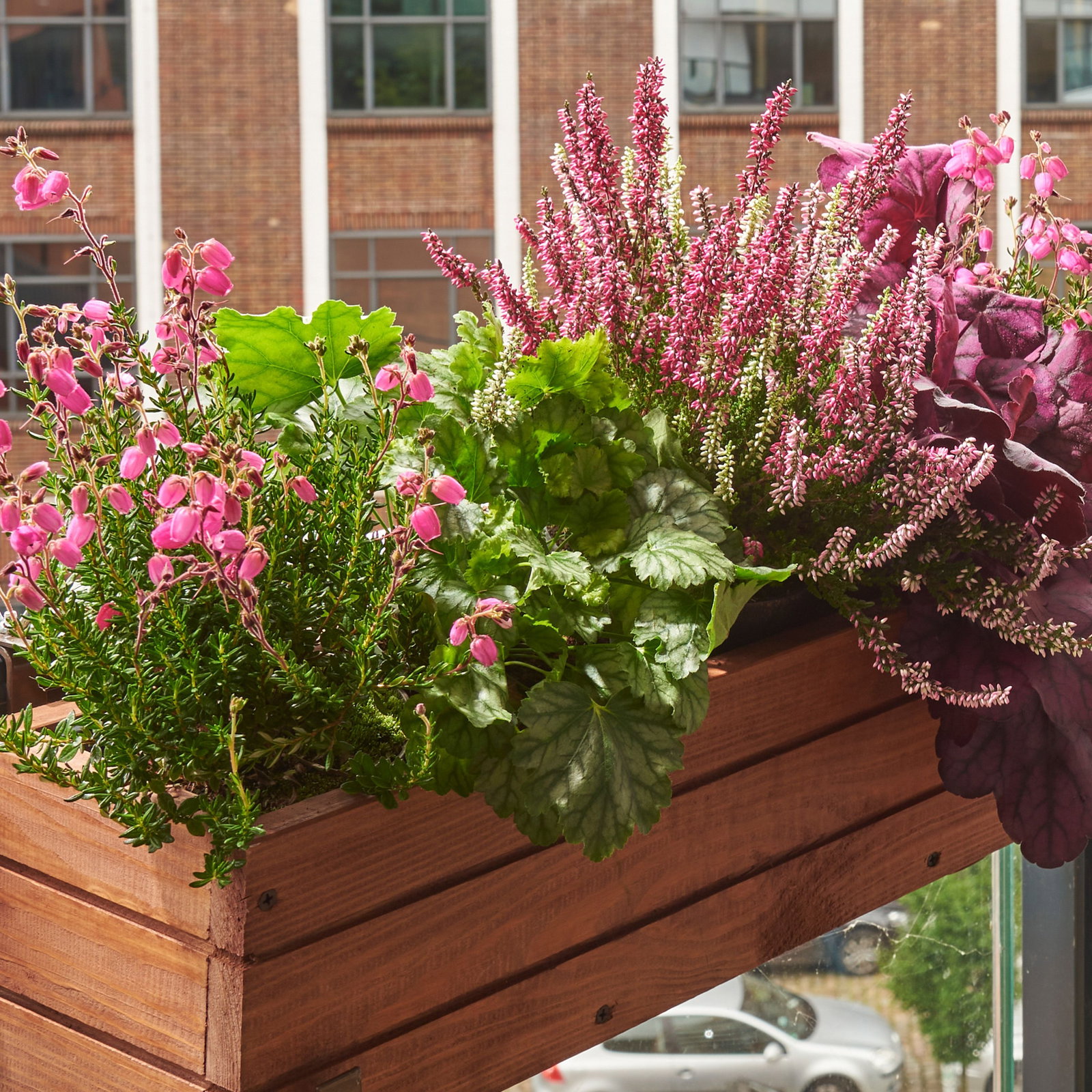blumenkasten zink 80 Liva Balkonblumenkasten aus verzinktem Eisen ohne Halterung 60 / 80 / –  Balconyliving.de main image 1