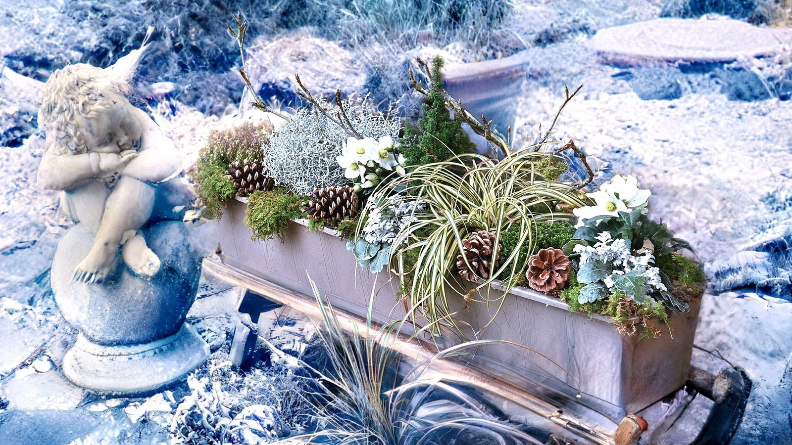 action balkon blumenkasten Pflanzkasten für Geländer | 55 cm