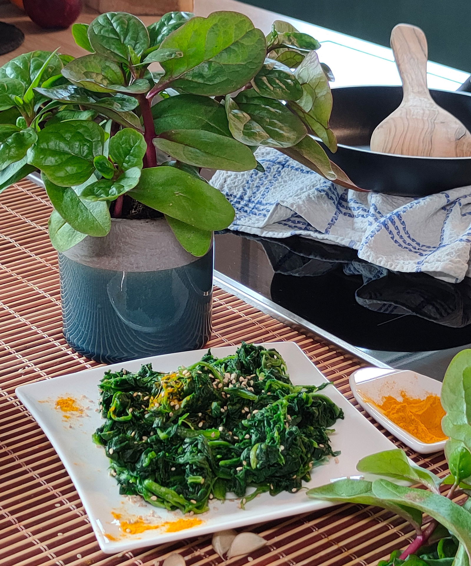 Bio MalabarSpinat Blu Basella alba var. rubra günstig kaufen