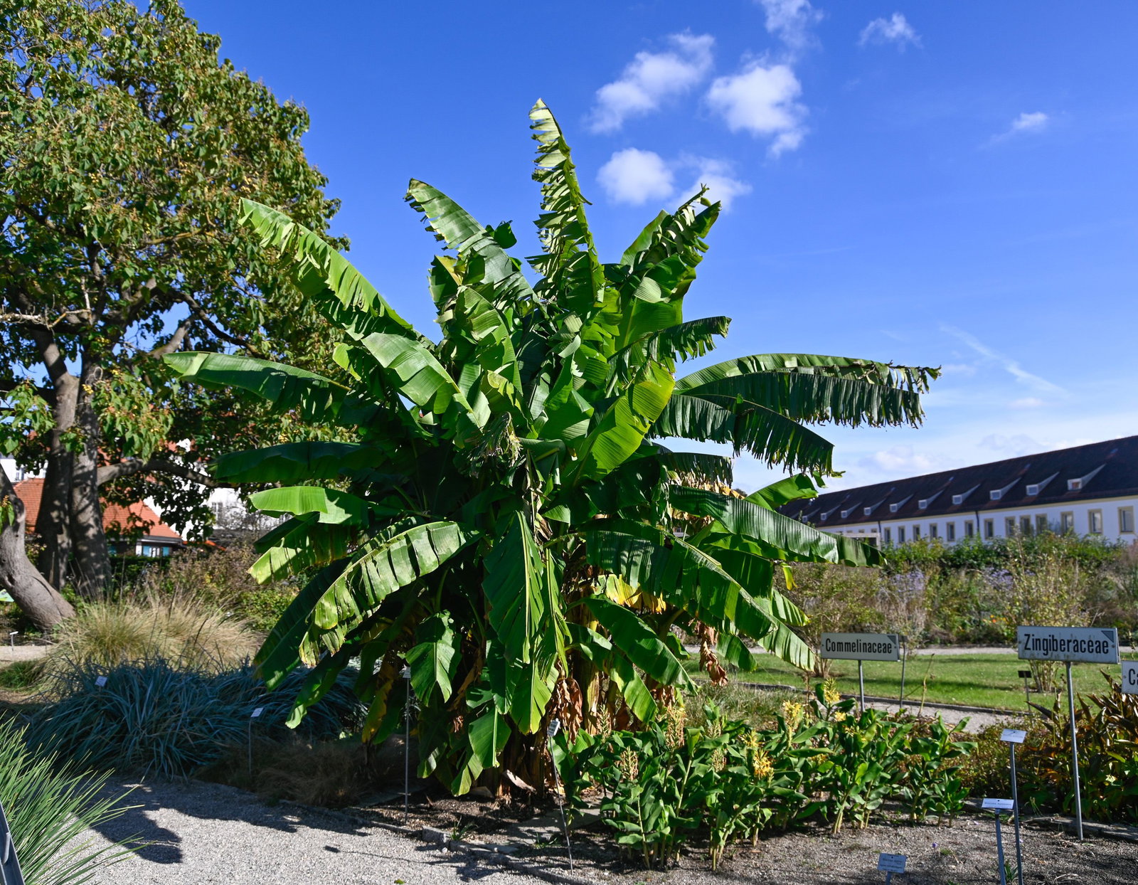 bambus strømper 5 par multi farvet bambus strømper til herre og dame – Copenhagen Bamboo main image 1