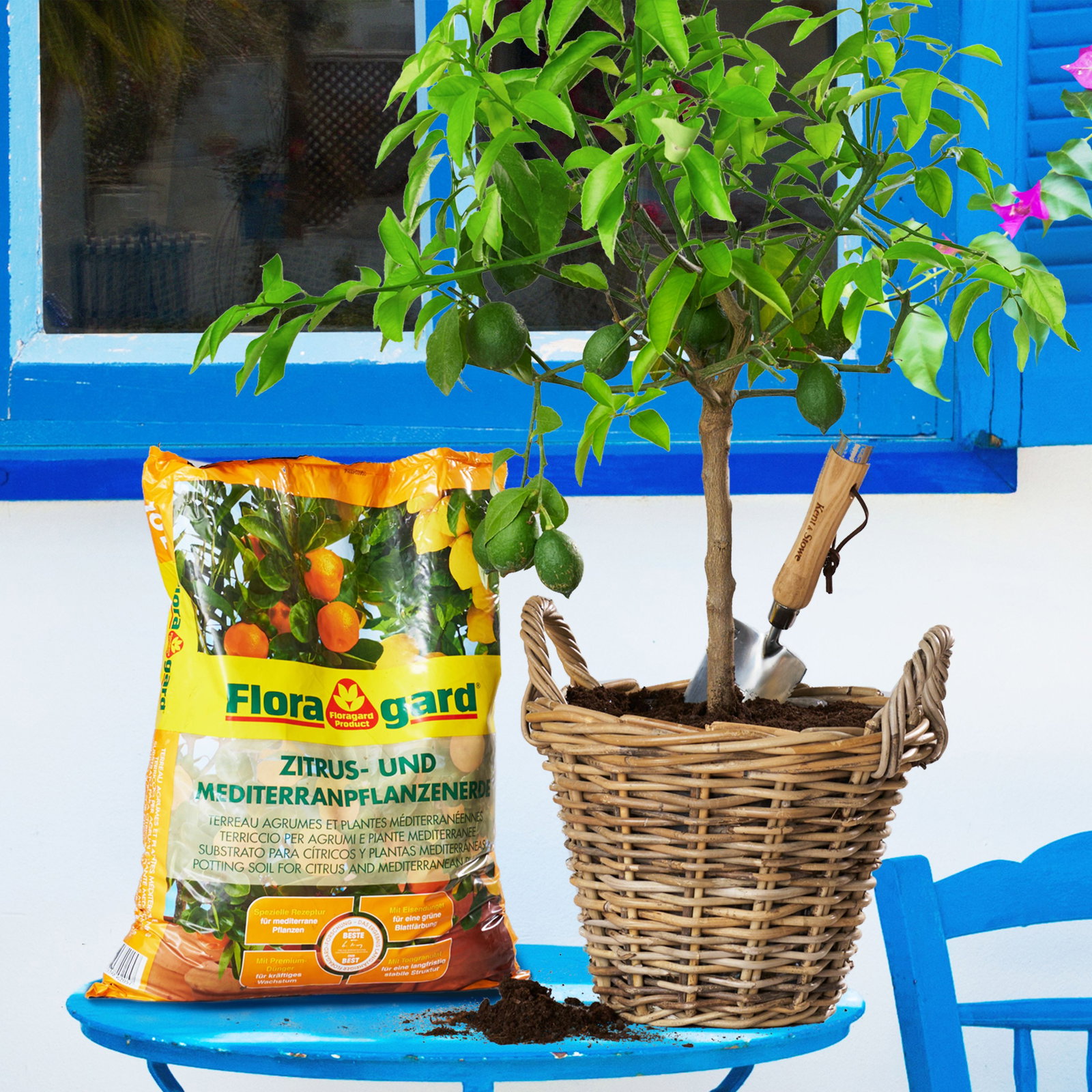 welchen dünger für kürbis Kürbis Dünger von Flora Boost für gesunde Ernte und kräftige Pflanzen main image 1