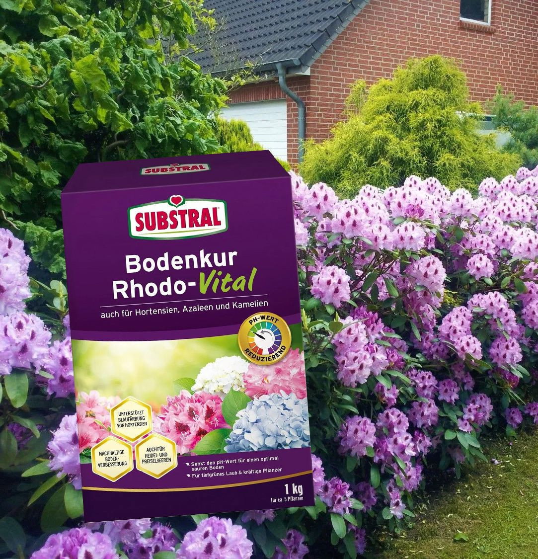 Bodenkur Rhodo-Vital - SUBSTRAL Bodenkur Rhodo-Vital günstig kaufen