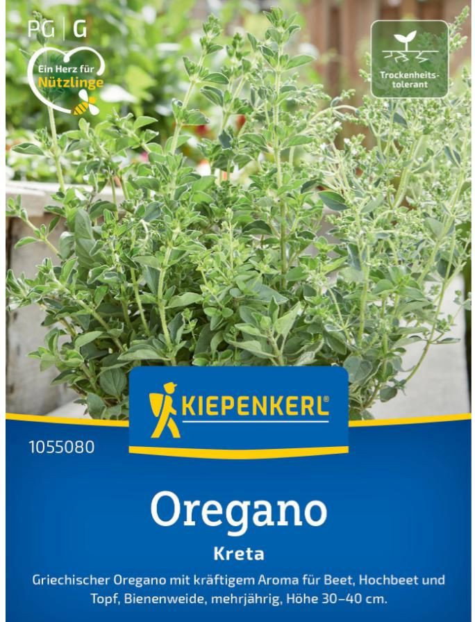 Griechischer Oregano Kreta - Kiepenkerl Origanum vulgare subsp. viridulum  Kreta gnstig kaufen
