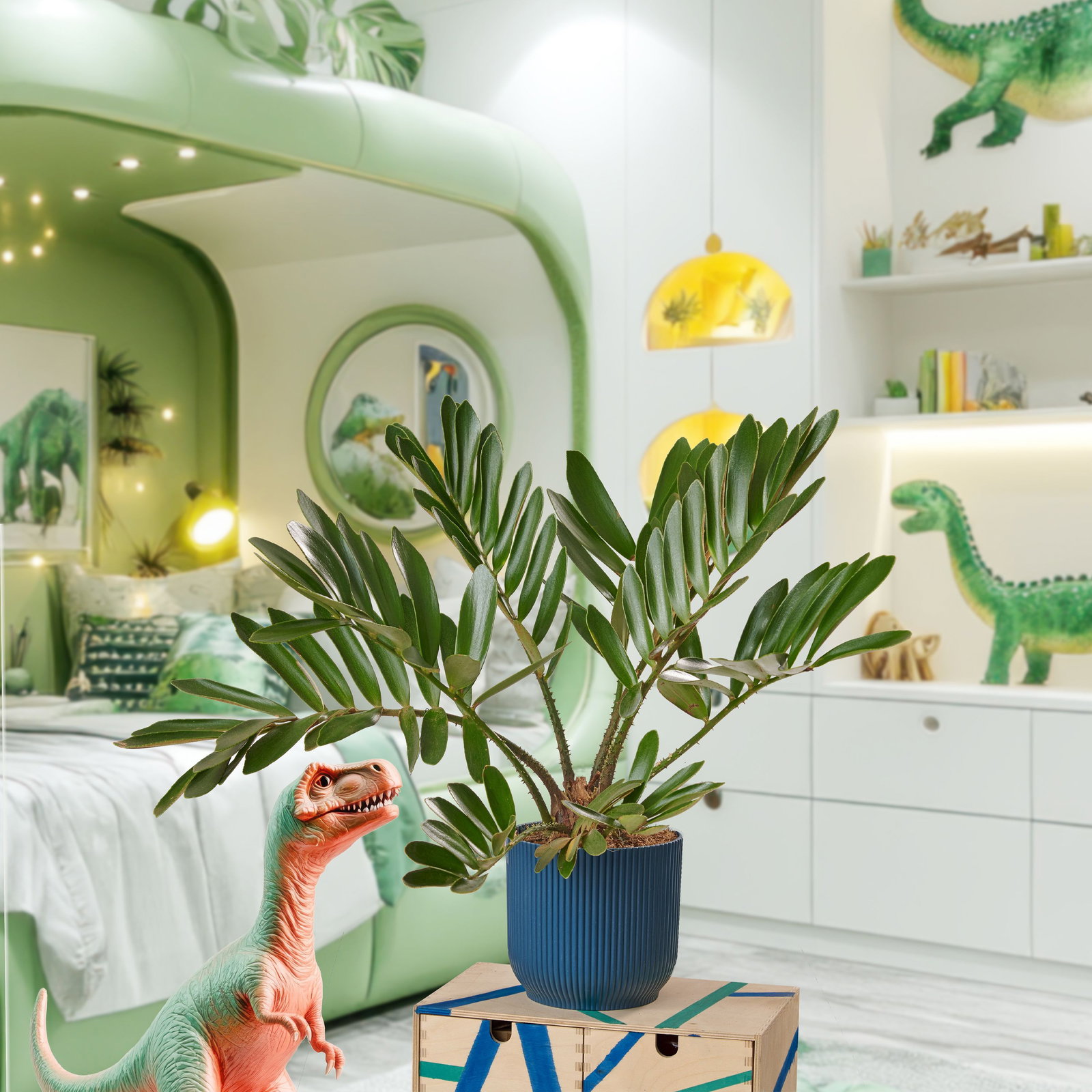 große ufopflanze Ufopflanze kaufen | Pilea Peperomioides main image 1