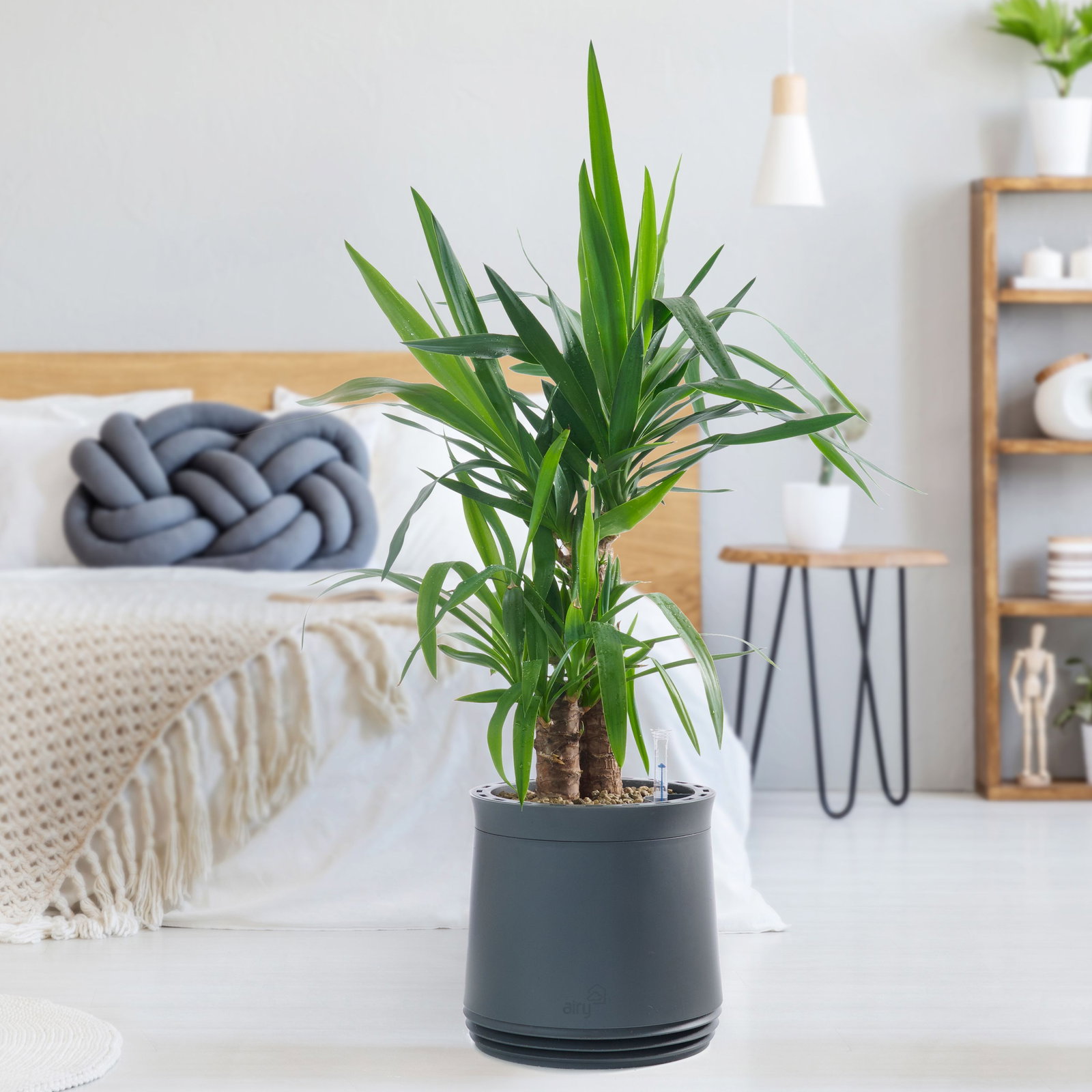 AIRY System M inkl. Substrat - Biologischer Luftreiniger Fr Rume bis zu  20qm gnstig kaufen