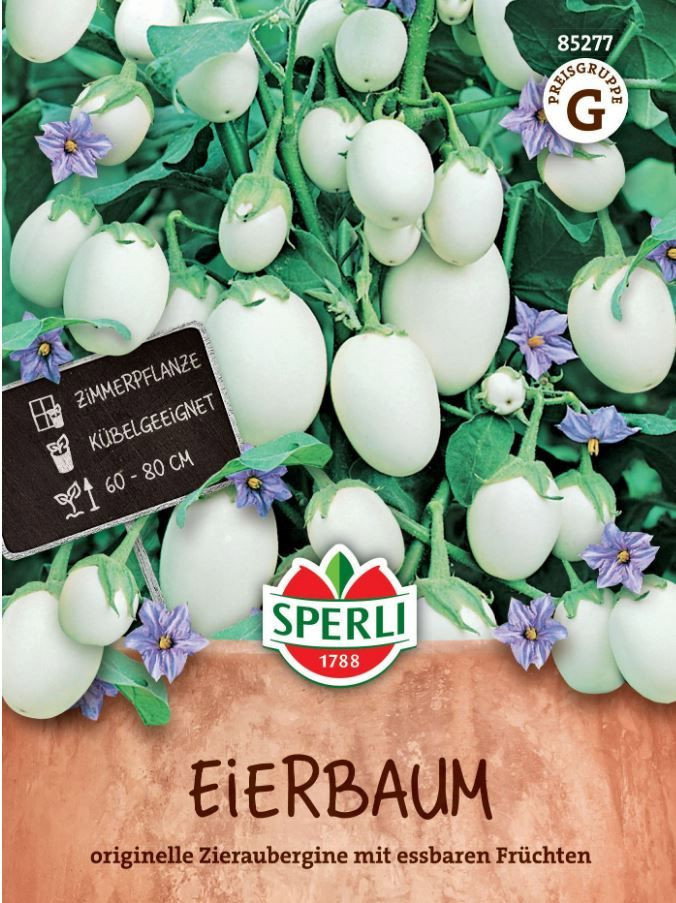 Eierbaum - Zieraubergine mit essbaren Frchten - Sperli Solanum melongena  gnstig kaufen
