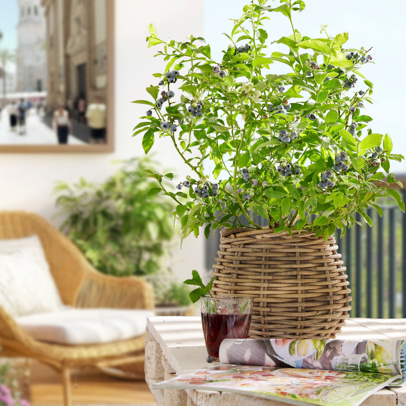 Einzelne Buchstaben - Ligustrum delavayanum - Einzelne Buchstaben gnstig  kaufen