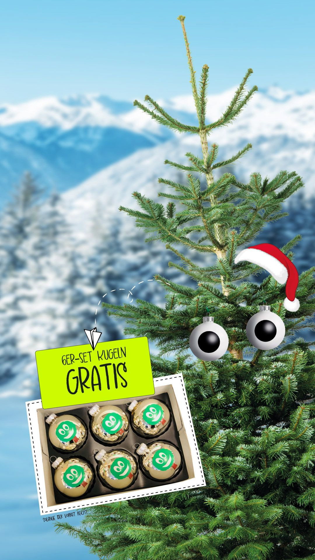 Franz der Bio-Weihnachtsbaum - Nordmanntanne aus biologischem Anbau gnstig  kaufen