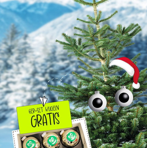 Franz der Bio-Weihnachtsbaum