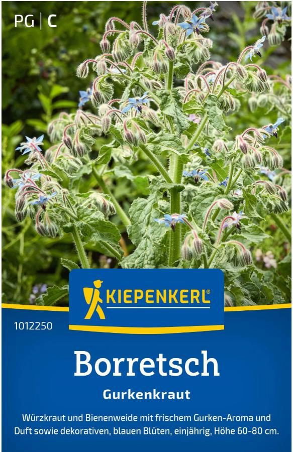 Borretsch Saatgut - Kiepenkerl Borago officinalis gnstig kaufen