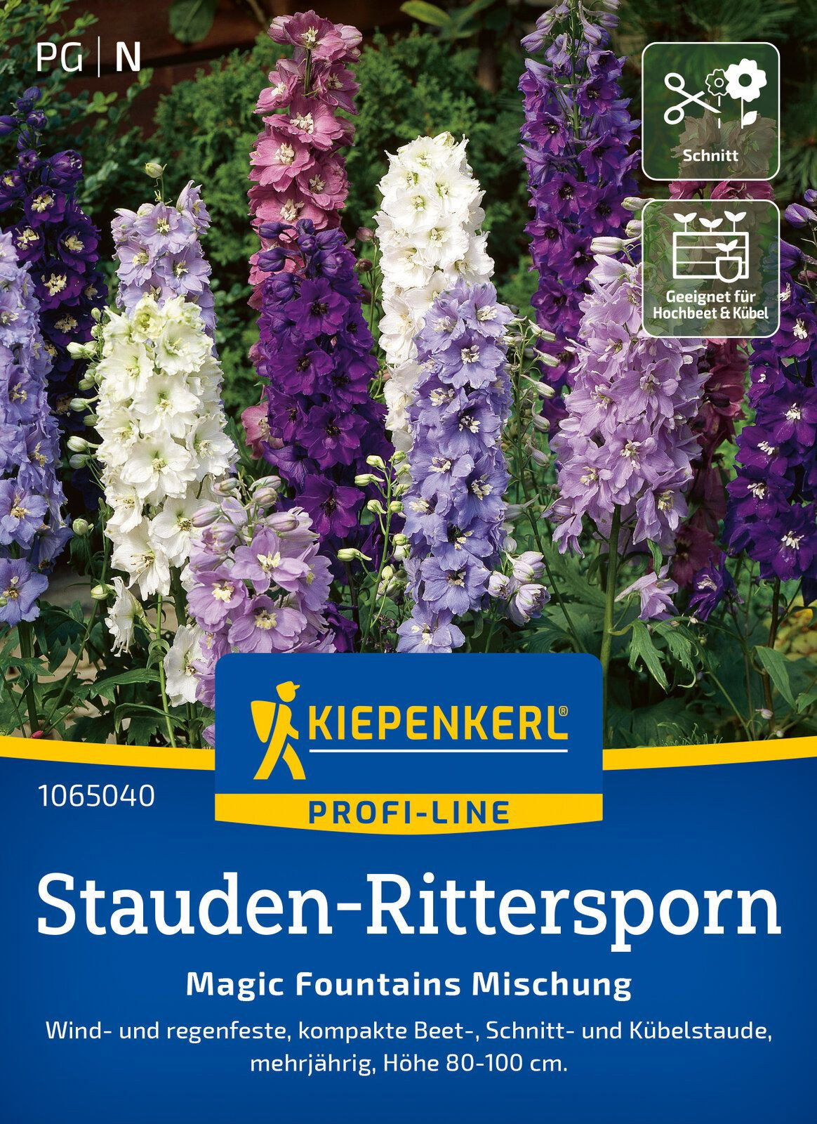 Rittersporn Magic Fountains Mischung - Kiepenkerl Delphinium x cultorum  Magic Fountains M gnstig kaufen